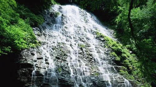 电子高性能智能
